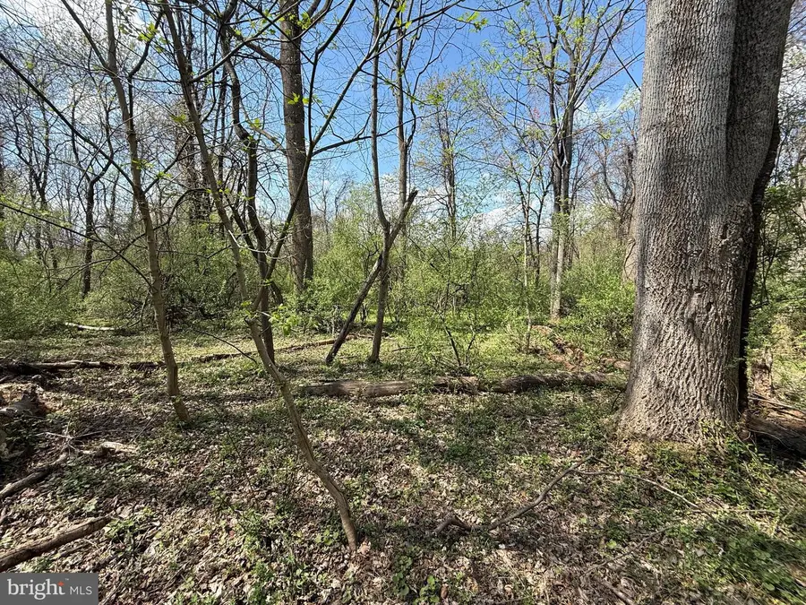 Philomont Rd, Purcellville, VA 20132 - #2