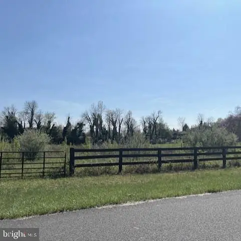 Lot 46 Middleburg Downs, Middleburg, VA 20117 - #2