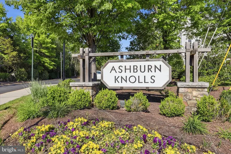 43450 Sweet Brandy Ter, Ashburn, VA 20147 - #3