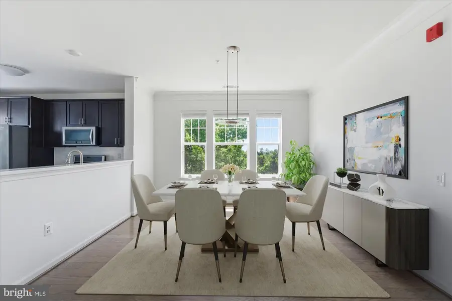 20650 Hope Spring Ter #301, Ashburn, VA 20147 - #3