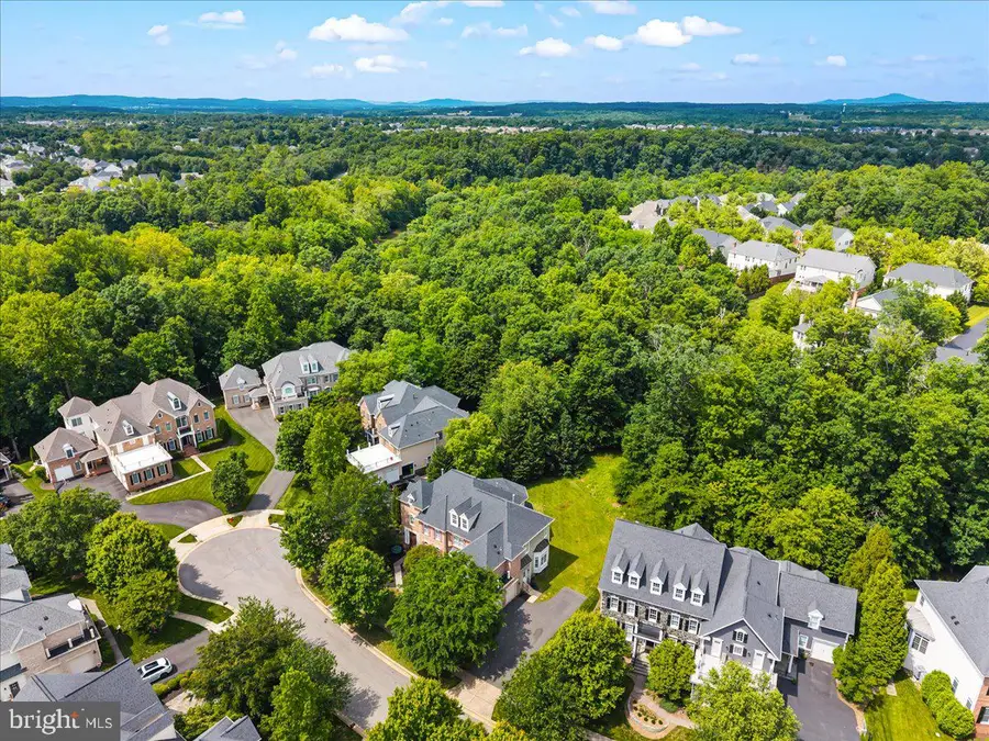 43464 Calphams Mill Ct, Leesburg, VA 20176 - #3