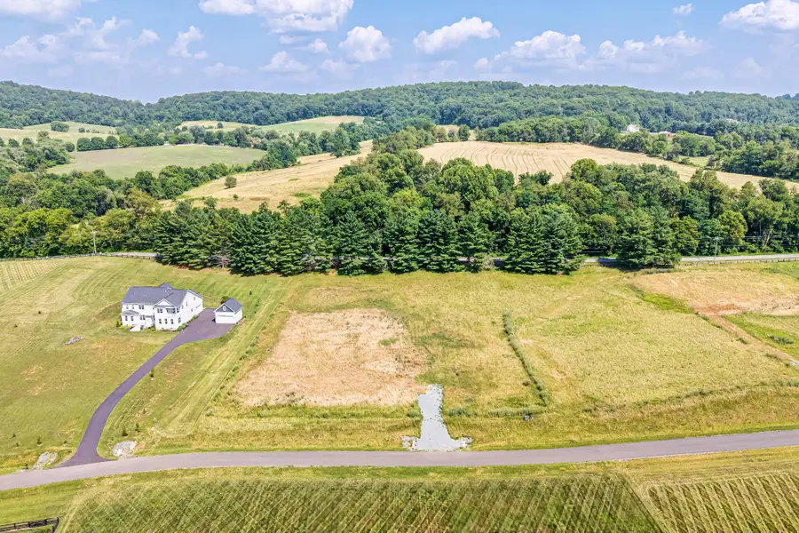 14178 Fescue Meadow Ct, Leesburg, VA 20176 - #3