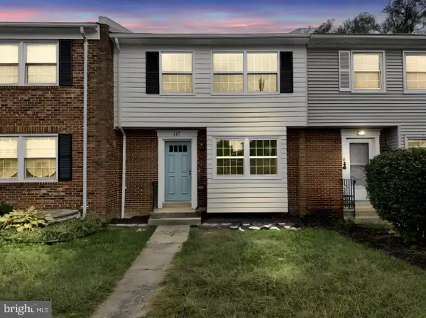 117 Davis Ave Sw, LEESBURG, VA 20175