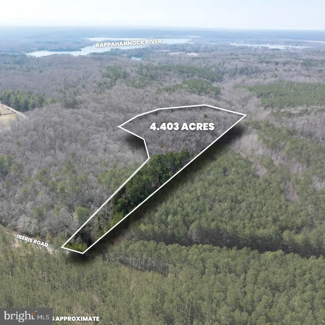 Iberis #22-26, Lancaster, VA 22503 - #1