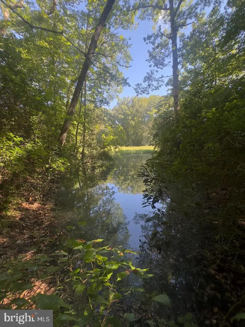 27 102b Beechwood Drive, Weems, VA 22576 - #1