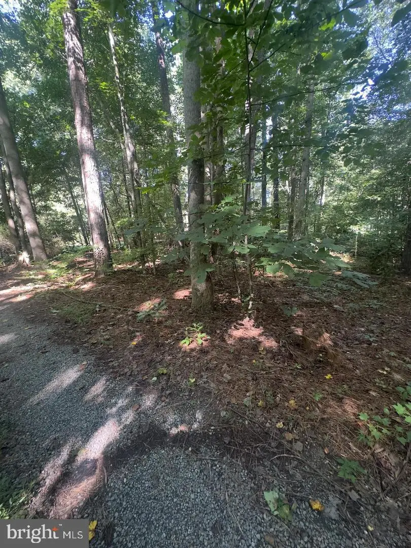 27 102b Beechwood Drive, Weems, VA 22576 - #3