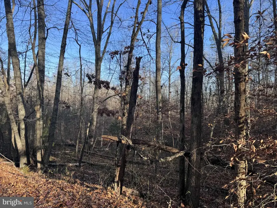 0 Buggy Ln, Rochelle, VA 22738 - Image #3