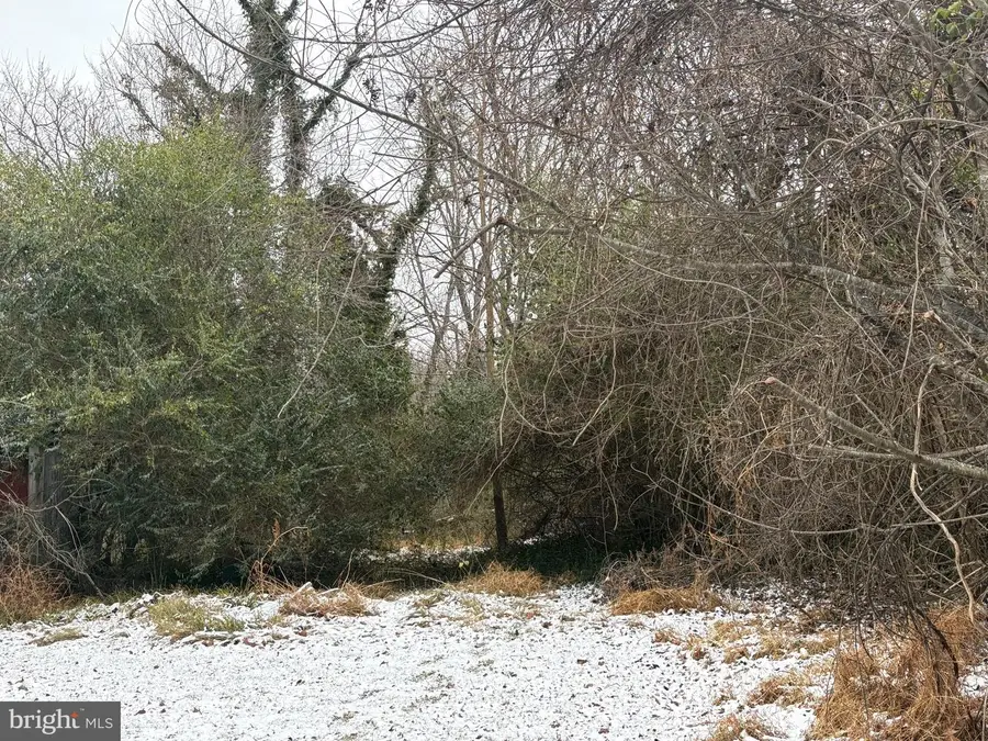 0 Main, Madison, VA 22727 - Image #3