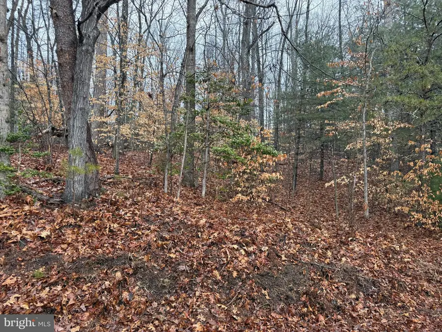 0 Tatum School Rd, Madison, VA 22727 - #3