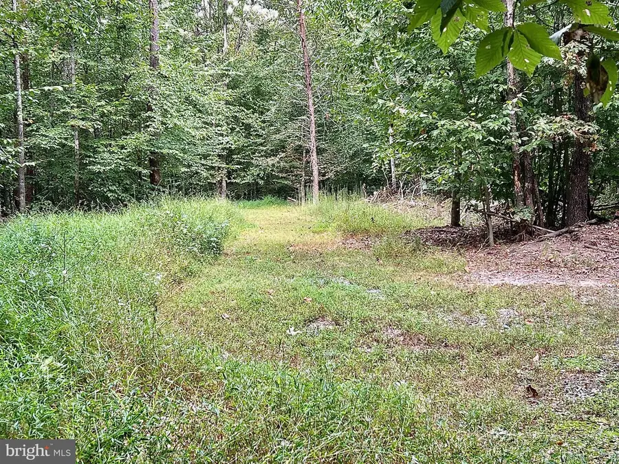 S. Blue Ridge Turnpike, Rochelle, VA 22738 - #2