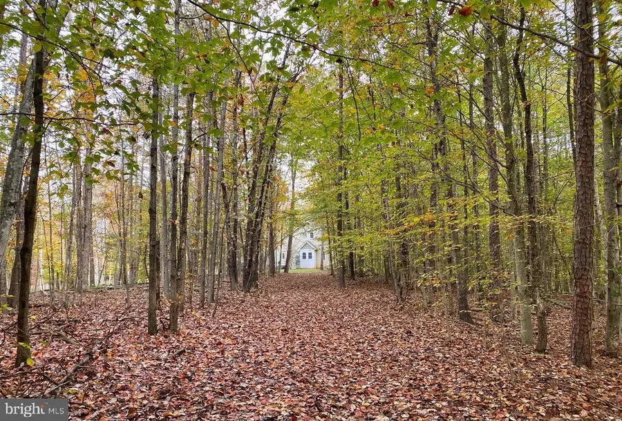 S. Blue Ridge Turnpike, Rochelle, VA 22738 - #3