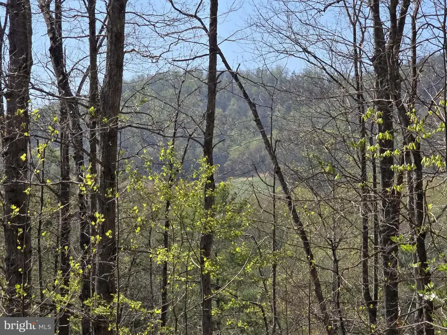 Lot 1 S Ft Valley Rd, Madison, VA 22727 - #2