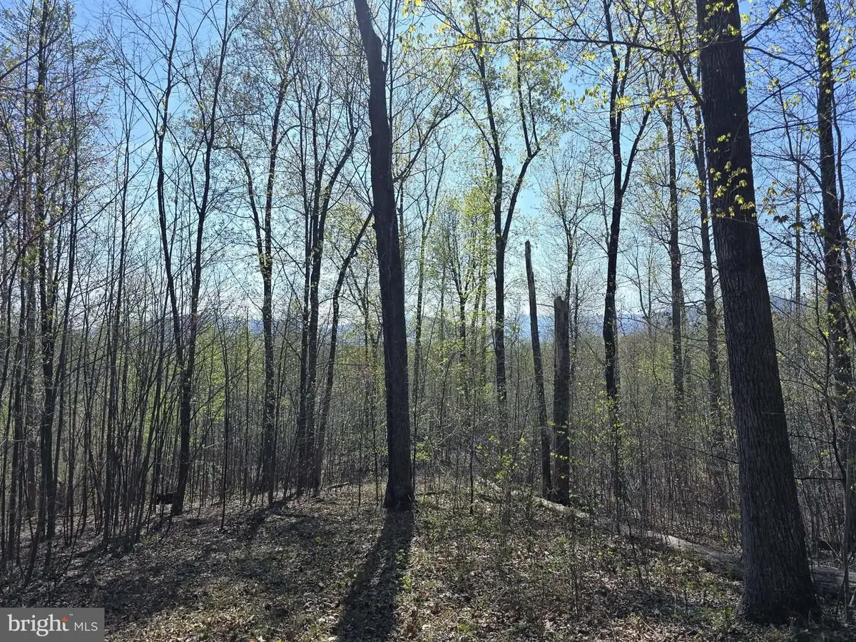 Lot 2 S Ft Valley Rd, Madison, VA 22727 - #1