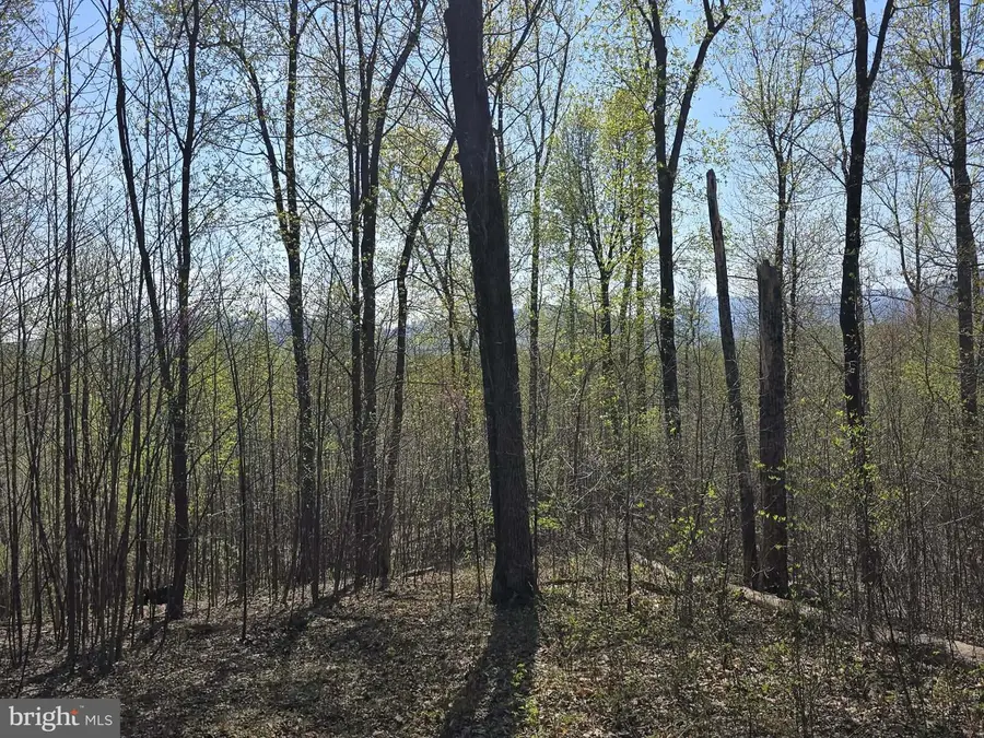 Lot 2 S Ft Valley Rd, Madison, VA 22727 - #3