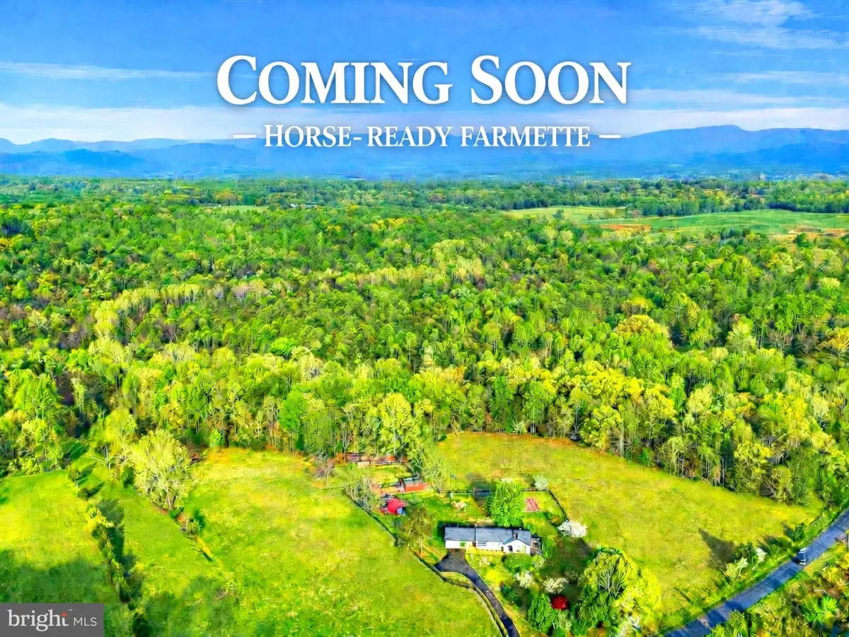 481 James City Rd, Reva, VA 22735 - #1