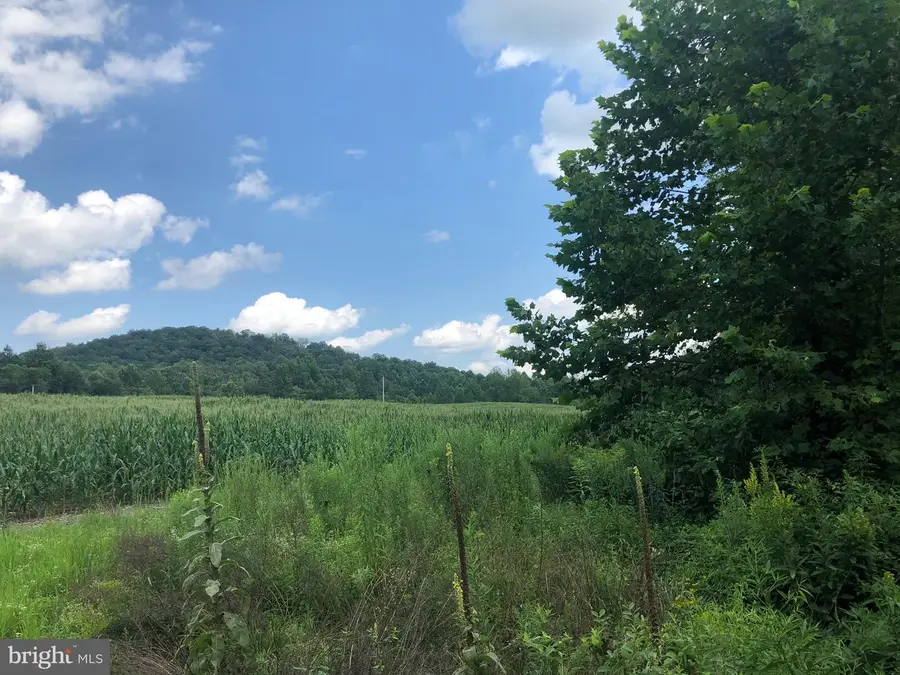 Tbd Orange Rd., Aroda, VA 22709 - #2