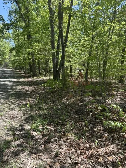 Davis Ln, Aroda, VA 22709 - #3