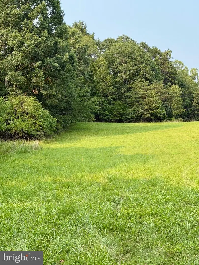64 56a S Blueridge Turnpike, Madison, VA 22727 - #2