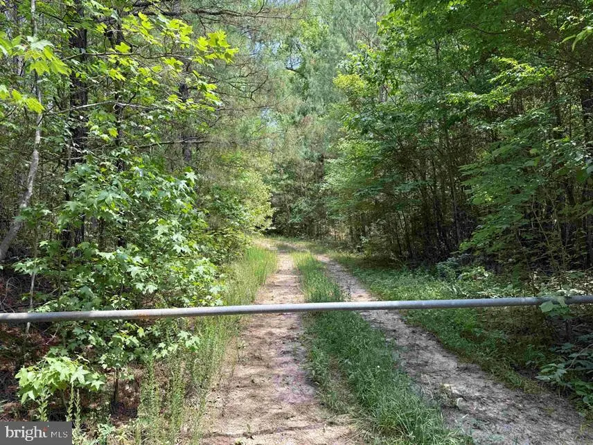 Country Club Drive (tract: Buckingham Bk6332-1), Chase City, VA 23924 - #3