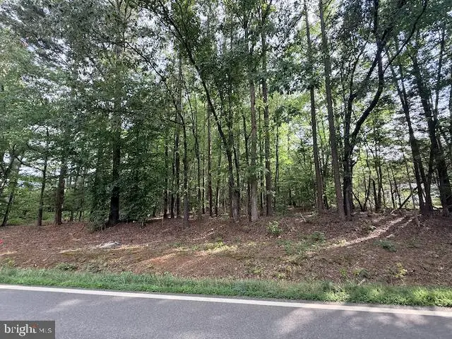 Skipwith Rd, Boydton, VA 23917 - #3