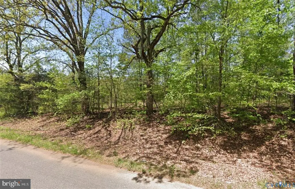 Lot 2 Forksville Rd, Forksville, VA 23950 - #1