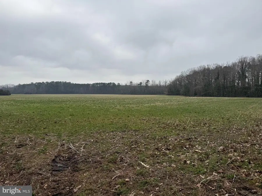 -00 Ebenezer Church Rd, Cobbs Creek, VA 23035 - #3