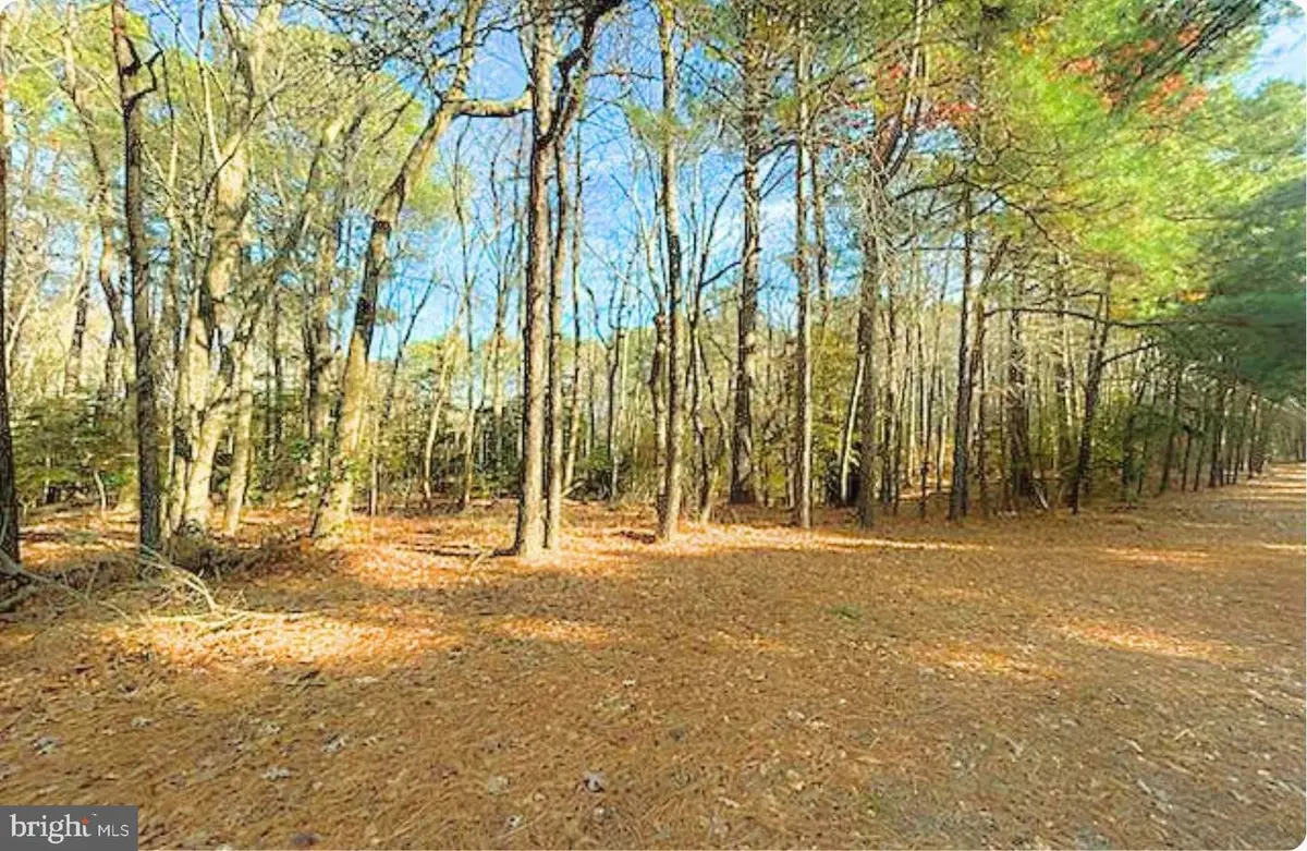 Lot 18 Peaceful Way, Exmore, VA 23350 - Image #1
