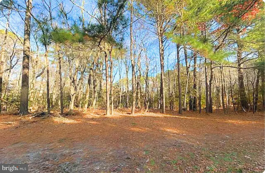 Lot 18 Peaceful Way, Exmore, VA 23350 - Image #2