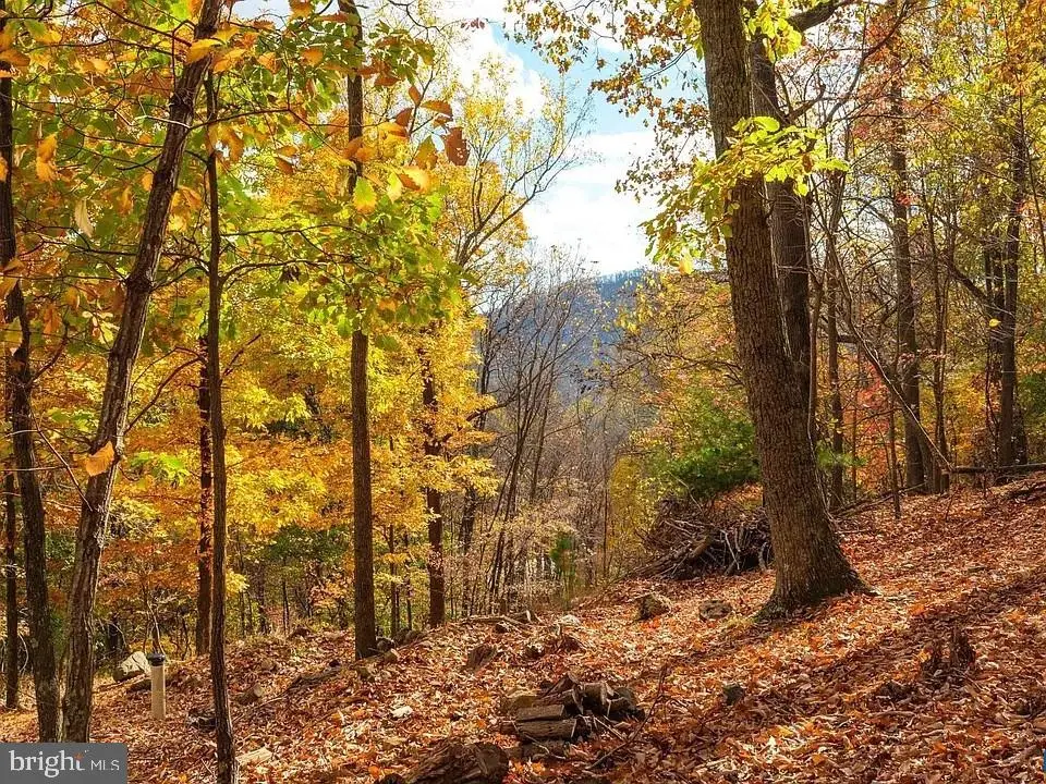 Lot 42 Treehouse Pl, Nellysford, VA 22958 - #1