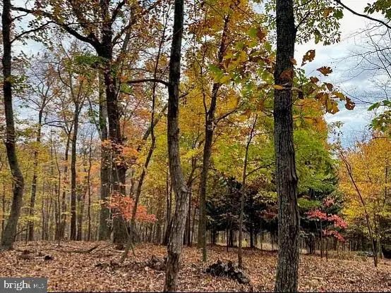 Lot 42 Treehouse Pl, Nellysford, VA 22958 - #3