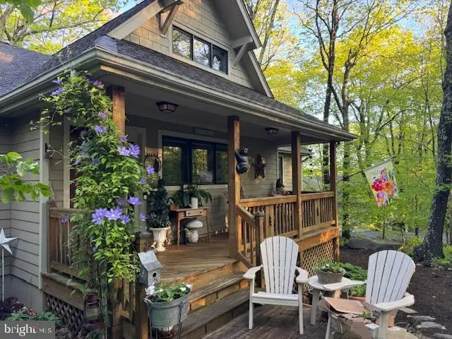 22 Deer Springs Ln, Wintergreen, VA 22958 - #2