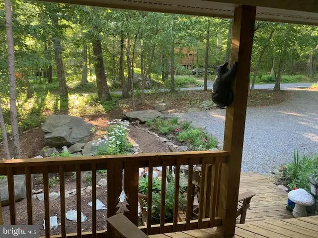 22 Deer Springs Ln, Wintergreen, VA 22958 - #3