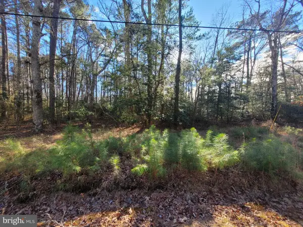00-lot 82 Elmington Place, HEATHSVILLE, VA 22473