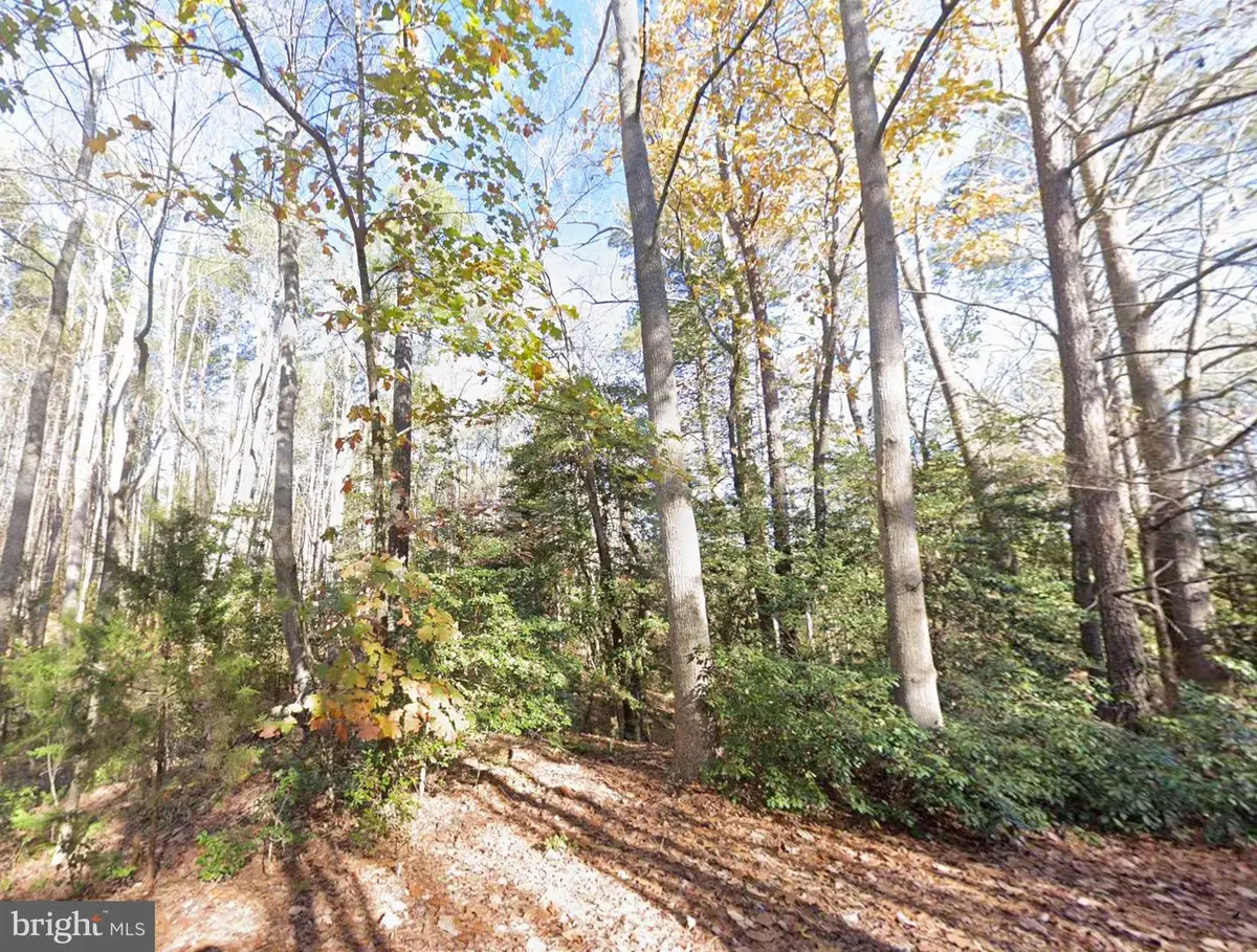 00 Lake Rd, Lottsburg, VA 22511 - #1