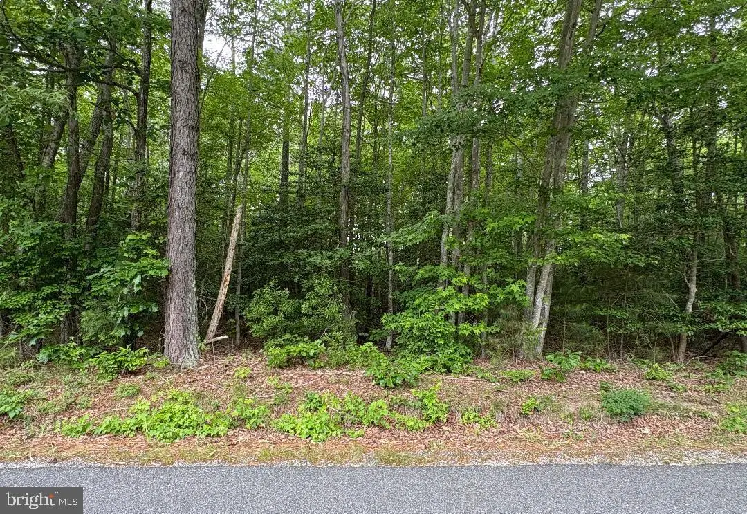 0 Bogey Neck Rd, Heathsville, VA 22473 - #1