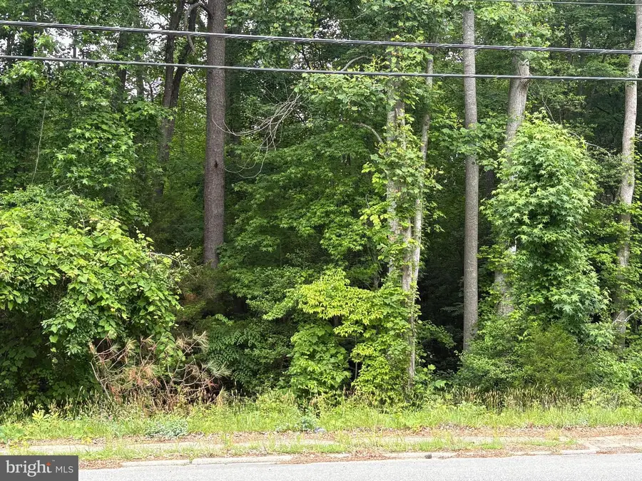 0 Jessie Dupont Memorial Hwy, Heathsville, VA 22473 - #2