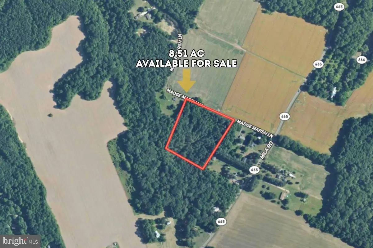 00 Madge Marsh Ln, Heathsville, VA 22473 - #1