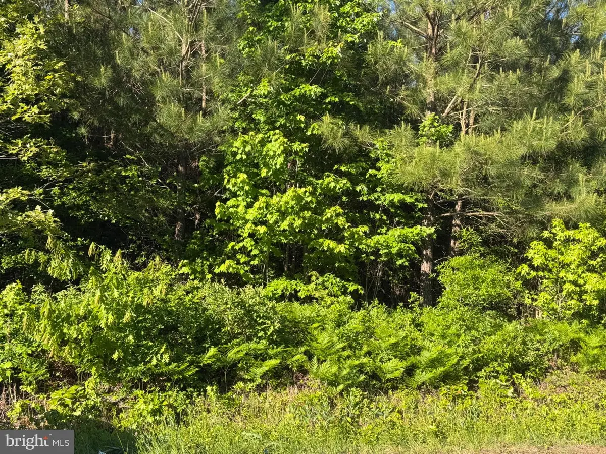 Gaskins Beach Rd, Reedville, VA 22539 - #1