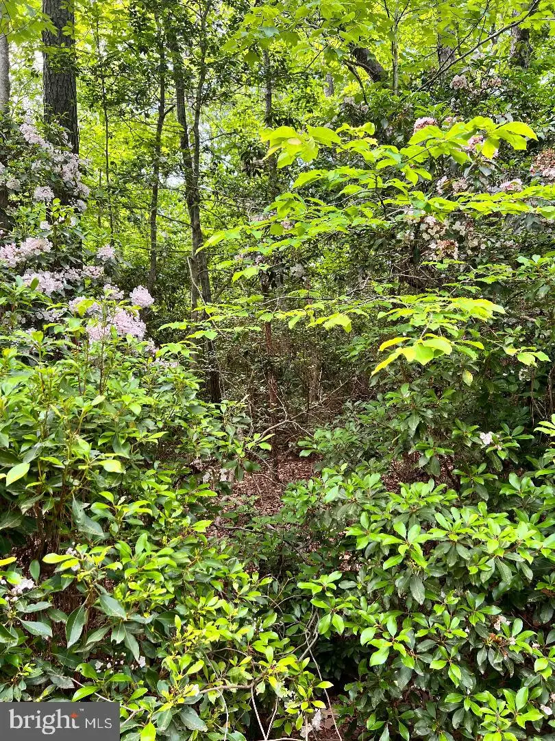 0 High Point Ln, Heathsville, VA 22473 - #2