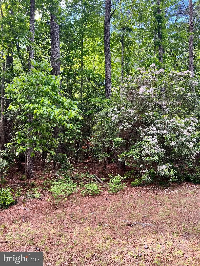 0 High Point Ln, Heathsville, VA 22473 - #3