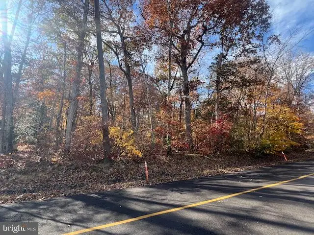 616 Mt Pleasant Dr, Locust Grove, VA 22508 - Image #2