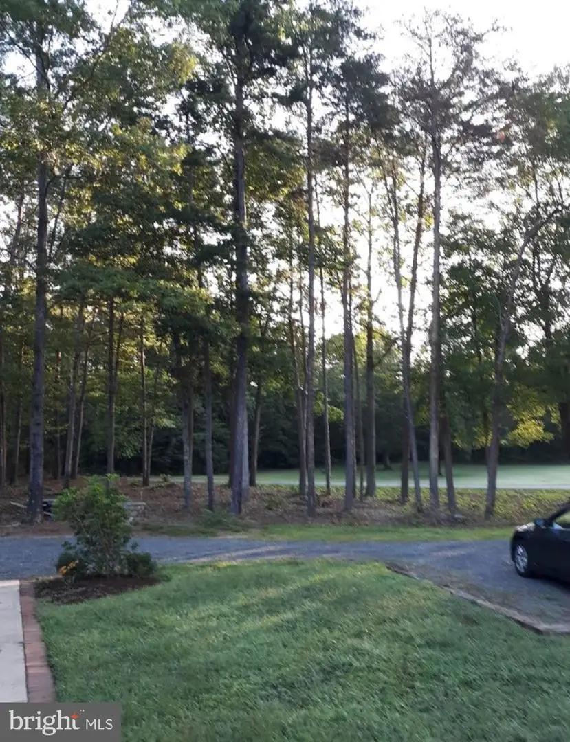 10358 Tower Rd, Unionville, VA 22567 - Image #3