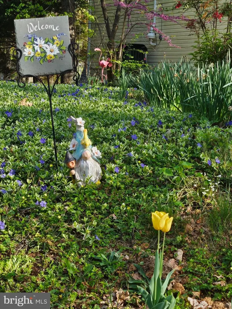 201 Washington St, Locust Grove, VA 22508 - Image #3