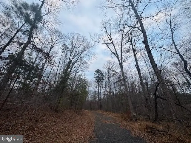 Lot 3 Woodlands Drive, Orange, VA 22960 - #3