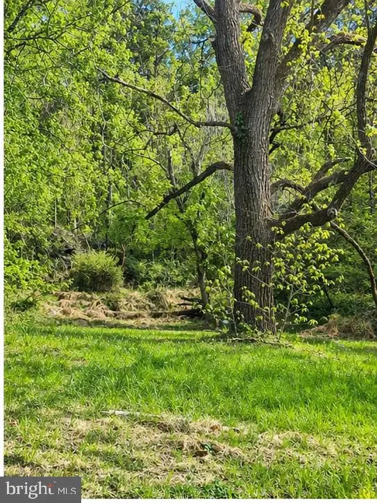 9422 Little Skyline Dr, Orange, VA 22960 - #3