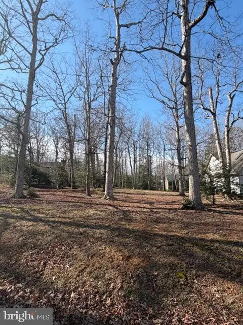 144 Jefferson Ave, Locust Grove, VA 22508 - #3