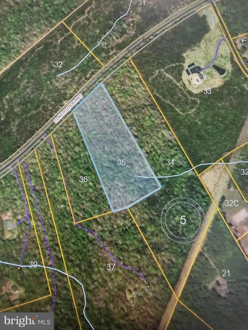 Lot 35 Constitution Hwy, Mine Run, VA 22508 - #1