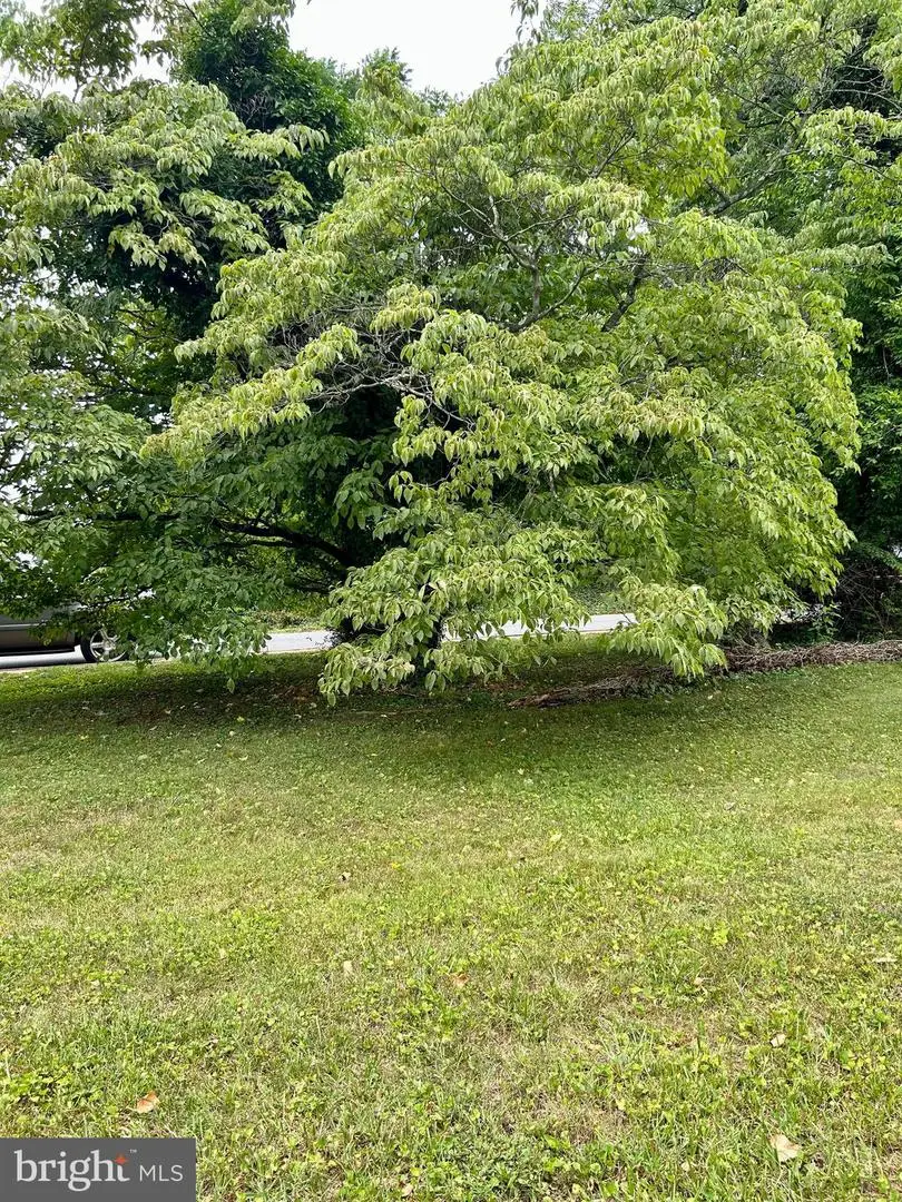 E Main St, Orange, VA 22960 - #3