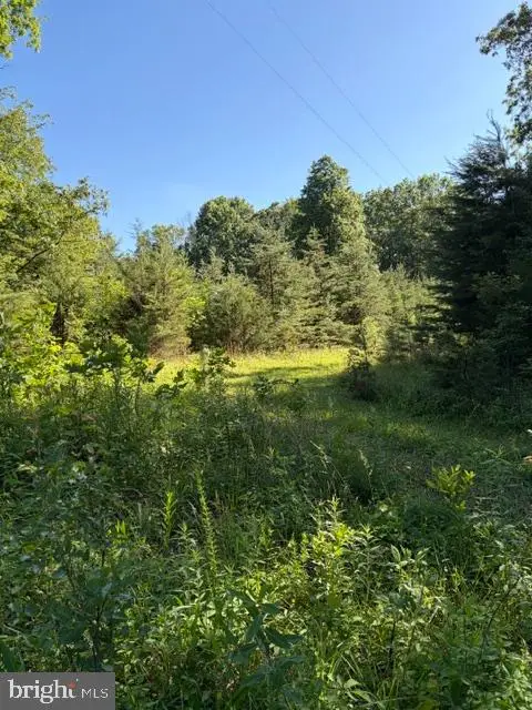 0 Gold Dale Rd, Locust Grove, VA 22508 - #3