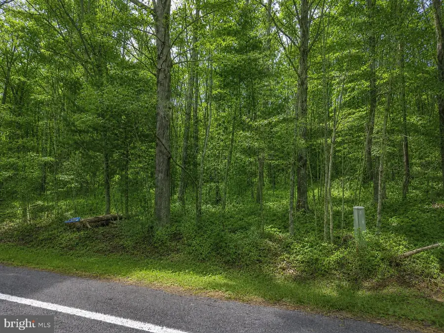 00 Constitution Hwy, Locust Grove, VA 22508 - #3